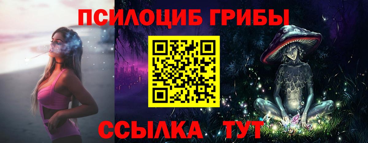 Галлюциногенные грибы MAGIC MUSHROOMS  Вход с VPN  Галлюциногенные грибы Psilocybe  Дербент 